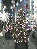 中央通り